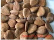 承德嘉利干果食品有限責(zé)任公司 綠色農(nóng)副產(chǎn)品的天然寶庫(kù)