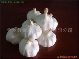 金鄉(xiāng)縣金馬果蔬制品 打造農(nóng)副產(chǎn)品的綠色名片
