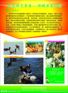 舌尖上的鄉(xiāng)野饋贈(zèng) 高品質(zhì)農(nóng)副產(chǎn)品，源自自然，健康守護(hù)