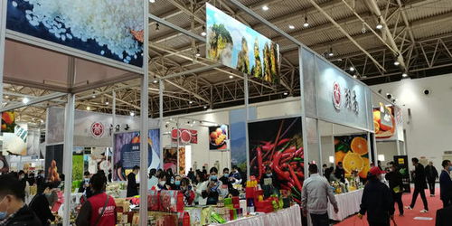 2020消費(fèi)扶貧行動(dòng) 北京農(nóng)副產(chǎn)品產(chǎn)銷對(duì)接會(huì)助力脫貧攻堅(jiān)
